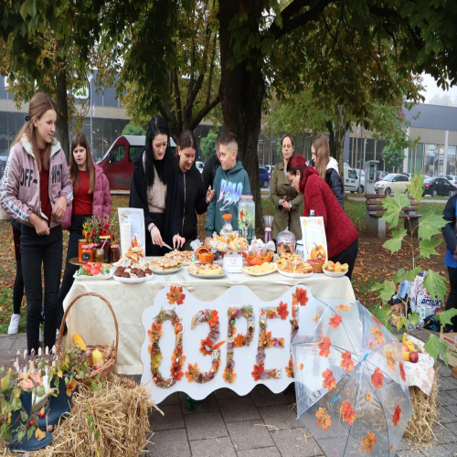 skolski-gastrofest-Doboj 01